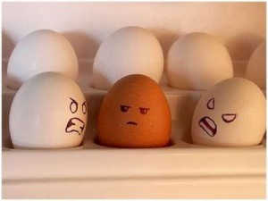 Racist Eggs