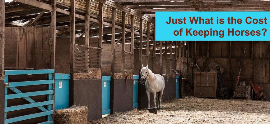 Annual cost of keeping horses
