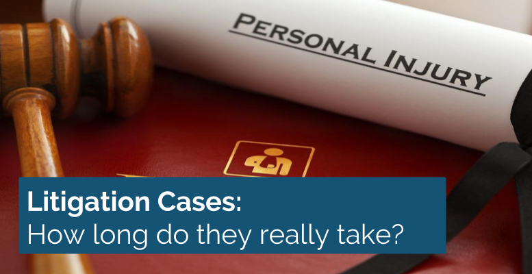 litigation cases