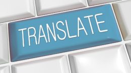 professional translation agency